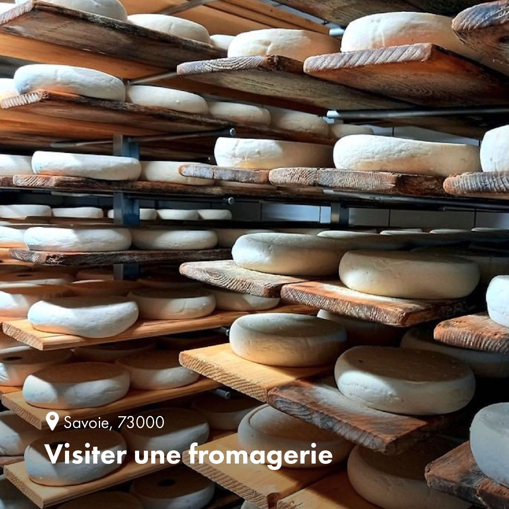 Visite Fromagerie 