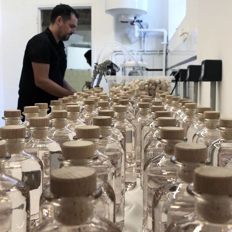 Thomas Bigourdan gin