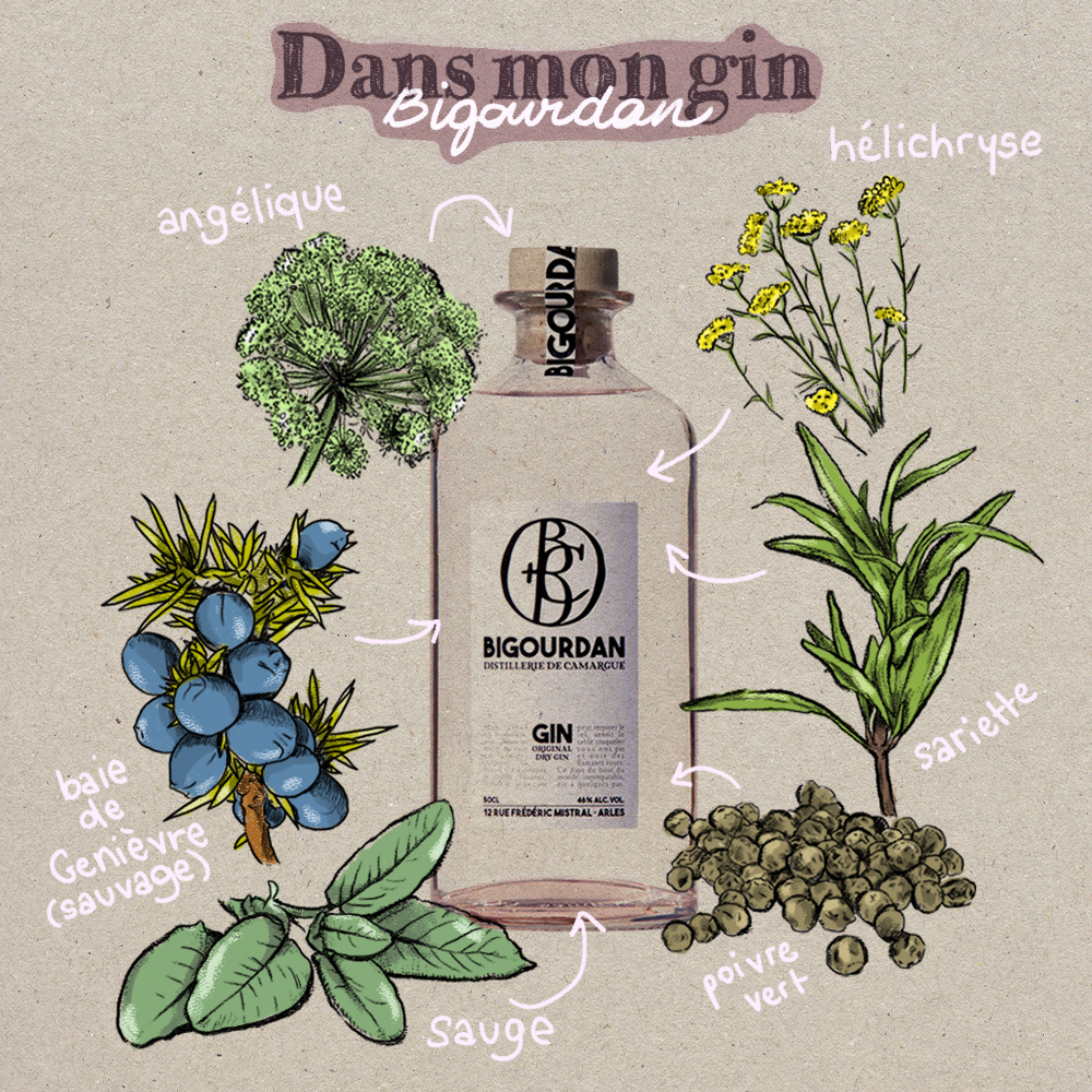 dans mon gin bigourdan